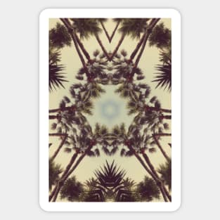 Pattern of palm trees Sticker